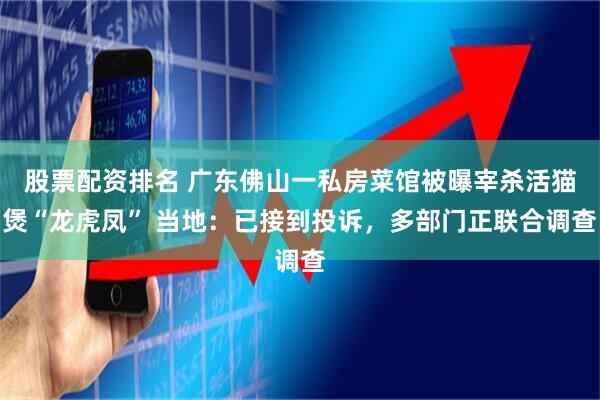 股票配资排名 广东佛山一私房菜馆被曝宰杀活猫煲“龙虎凤” 当地：已接到投诉，多部门正联合调查