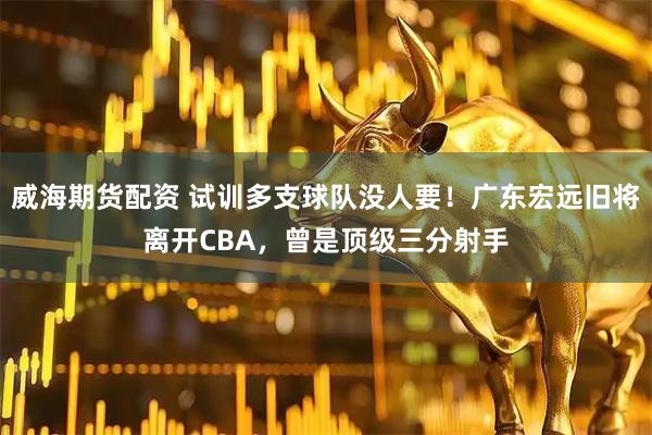 威海期货配资 试训多支球队没人要！广东宏远旧将离开CBA，曾是顶级三分射手