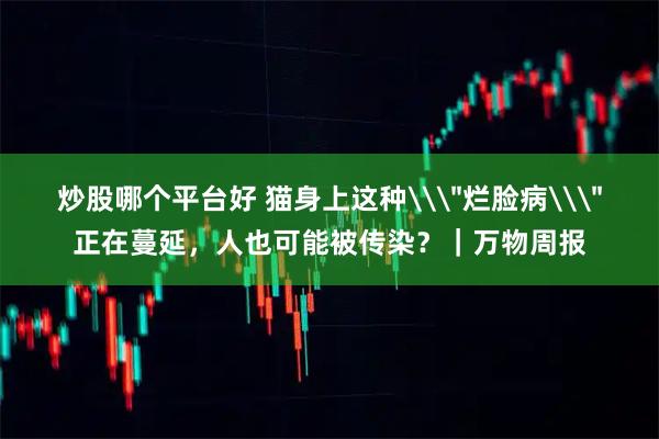 炒股哪个平台好 猫身上这种\＂烂脸病\＂正在蔓延，人也可能被传染？｜万物周报